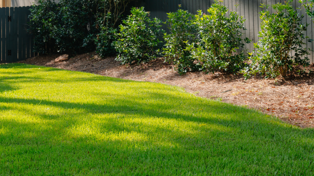 Lush, green, weed free lawn in Augusta Georgia